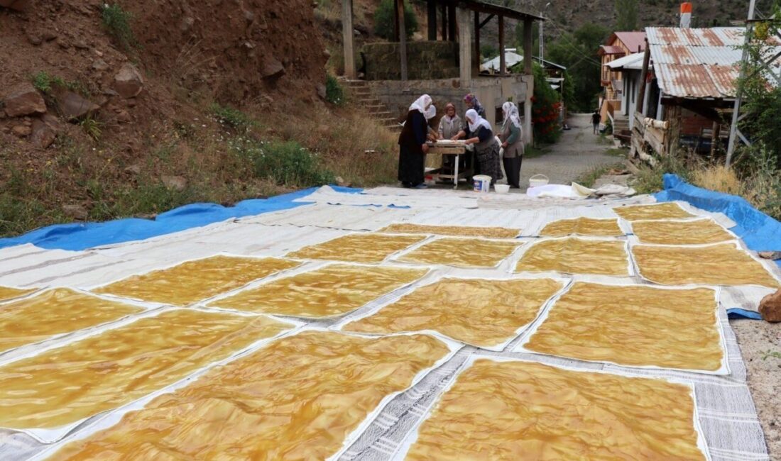 Kazanlar bu kez pestil için yandı Erzincan’ın Kemaliye ilçesinde dut hasadının ardından geleneksel pestil yapımına başlandı.