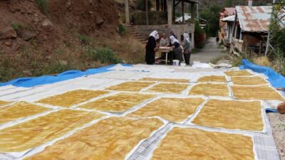 Erzincan’ın Kemaliye ilçesinde dut hasadının ardından geleneksel pestil yapımına başlandı.