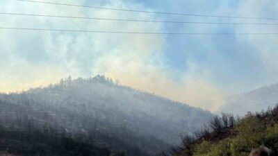 Kocaeli Büyükşehir Belediye Başkanı Tahir Büyükakın, kentte çıkan orman yangınına