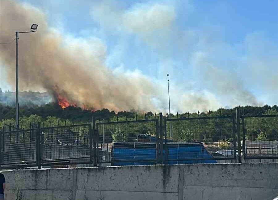 Kocaeli’nin Gebze ilçesinde ormanlık alanda yangın çıktı. Edinilen bilgiye göre,