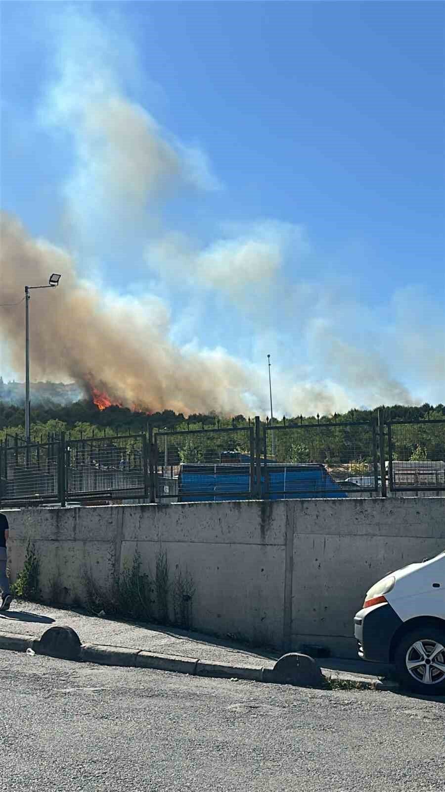Kocaeli’nin Gebze ilçesinde ormanlık alanda yangın çıktı. Edinilen bilgiye göre,