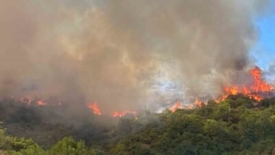 Kocaeli’de çıkan orman yangınına müdahale sürüyor. Edinilen bilgiye göre, Körfez