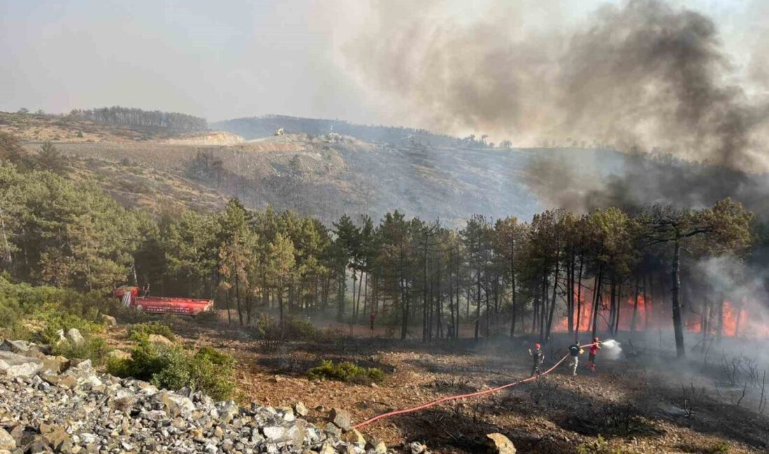 Kocaeli Büyükşehir Belediyesi, Bursa’da çıkan orman yangınıyla mücadele çalışmalarına A