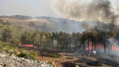 Kocaeli Büyükşehir Belediyesi, Bursa’da çıkan orman yangınıyla mücadele çalışmalarına A
