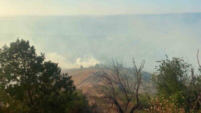 Kocaeli’nin Karamürsel ilçesinde farklı noktalarda çıkan orman yangınlarına ekiplerin müdahalesi