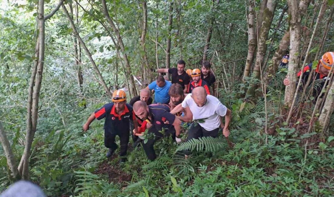 Rize’nin Çayeli ilçesinde kontrolden çıkarak uçuruma giderken ağaçlara takılarak duran