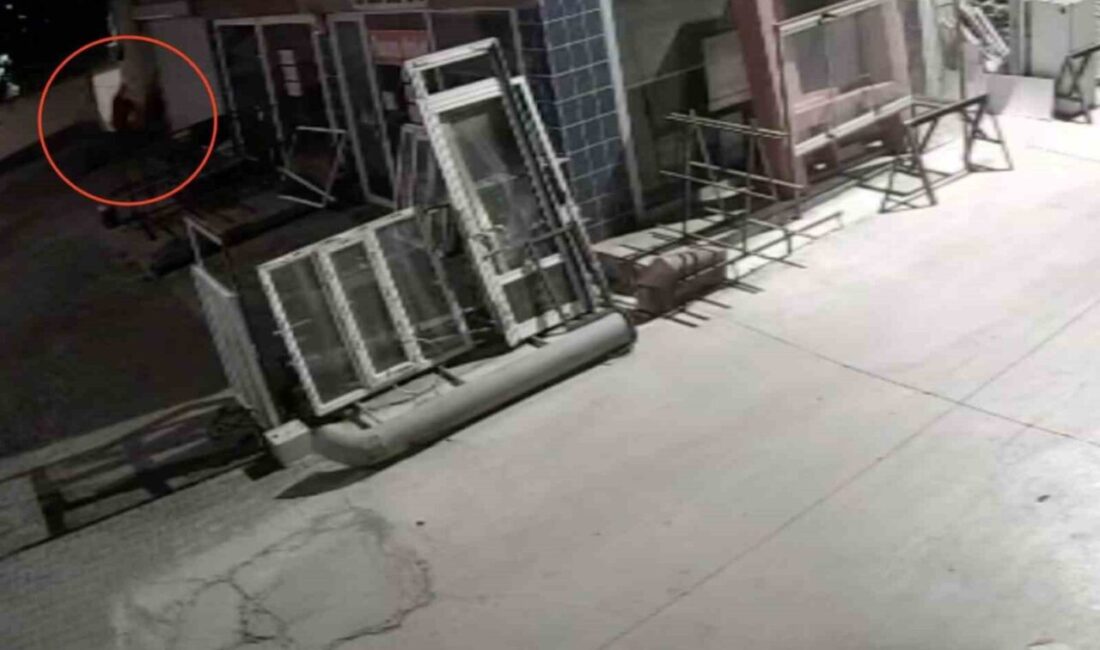 Kastamonu’da bir şahıs, sokakta karşısına çıkan köpeği önce aracıyla ezmeye