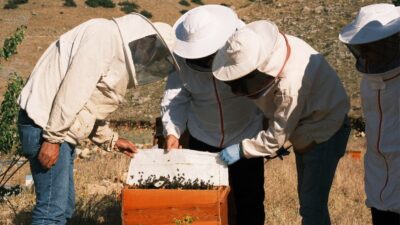 2025 Yılı Teknik Destek Programı 3. dönem başvuruları değerlendirme süreci