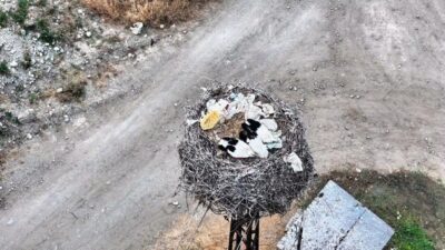 Sinop’un Boyabat ilçesinde yuvalarında uyuyan leylek ailesi, dronla görüntülendi. Sosyal