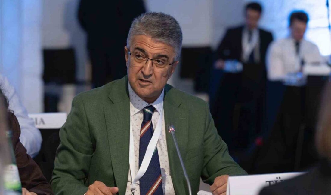 MHP Erzurum milletvekili Prof. Dr. Kamil Aydın Avrupa Güvenlik ve