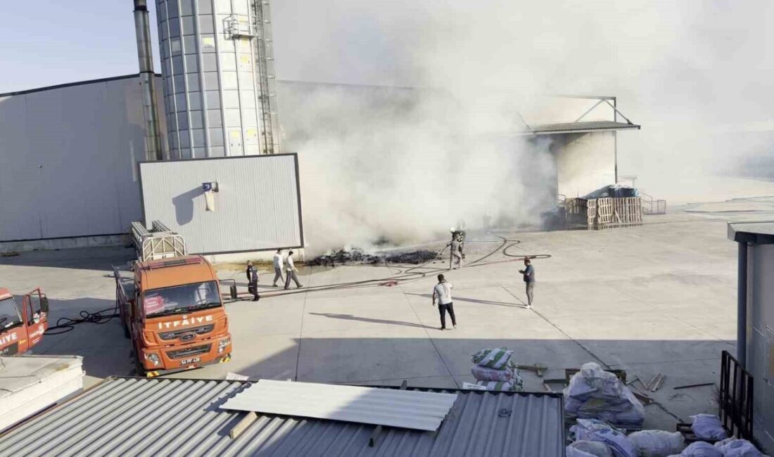 Sakarya’nın Kaynara ilçesinde bulunan Mobilya OSB içinde faaliyet gösteren fabrikanın