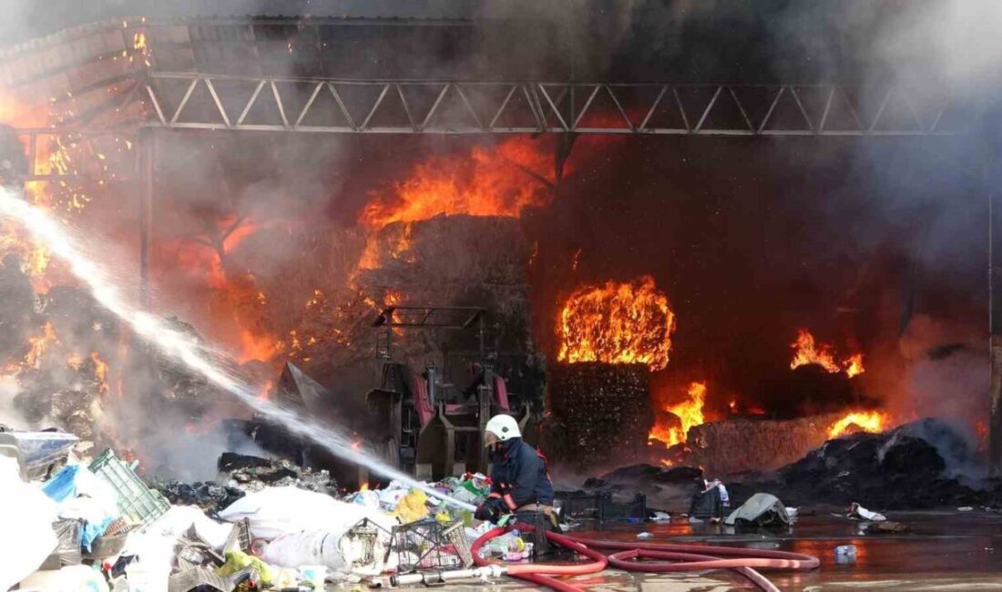 Ordu’da bir geri dönüşüm tesisinde yangın çıktı. Edinilen bilgiye göre,