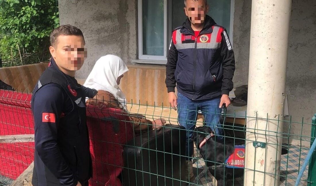 Ordu’nun Kumru ilçesinde hakkında kayıp ihbarı yapılan kadın, ekiplerin yaptıkları