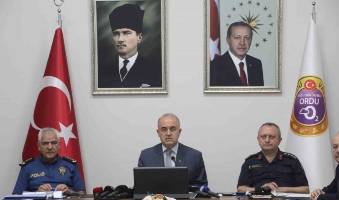 Ordu Valisi Muammer Erol, şehirde sıklıkla yaşanan patpat kazaları, turizm
