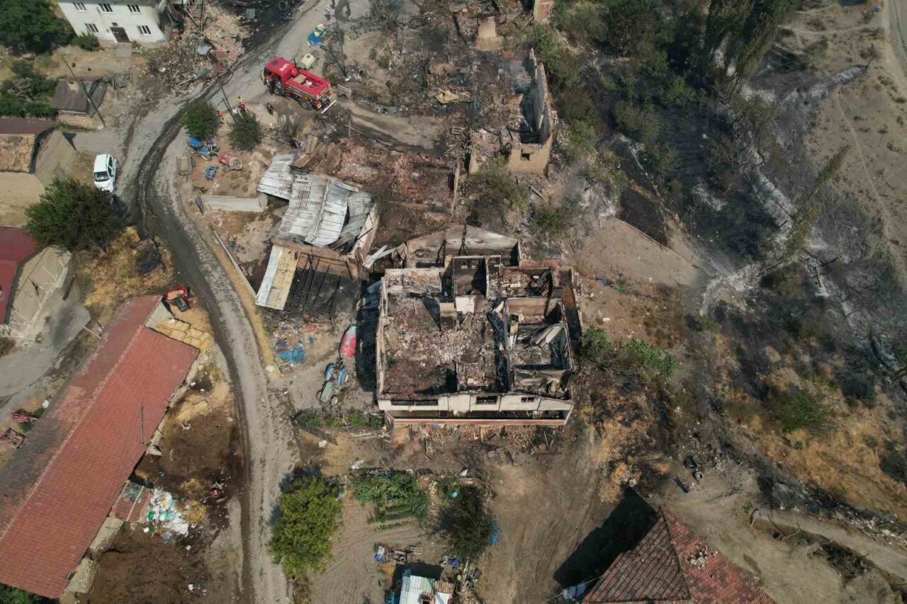 Sakarya’nın Geyve ilçesinde ormanlık alanda çıkan yangın sonucunda alevlere teslim