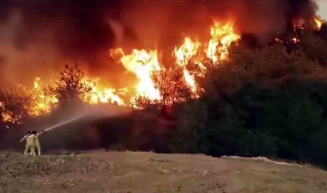 Sakarya’nın Geyve ilçesinde çıkan ve rüzgarın etkisiyle Bilecik sınırlarına da