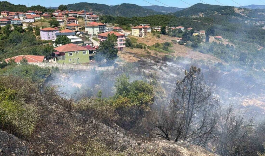 Zonguldak’ın Kdz Ereğli’ de yer alan OSB içinde bulunan ormanlık