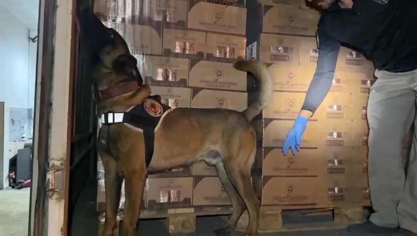 Kocaeli TEM Otoyolu Osmangazi Köprüsü girişinde durdurulan araçta narkotik köpeği