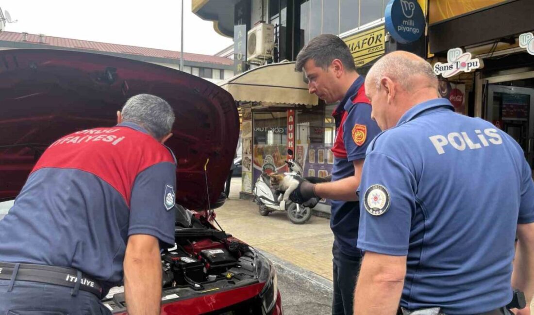 Ordu’nun Ünye ilçesinde, park halindeki otomobilin motor kısmında mahsur kalan