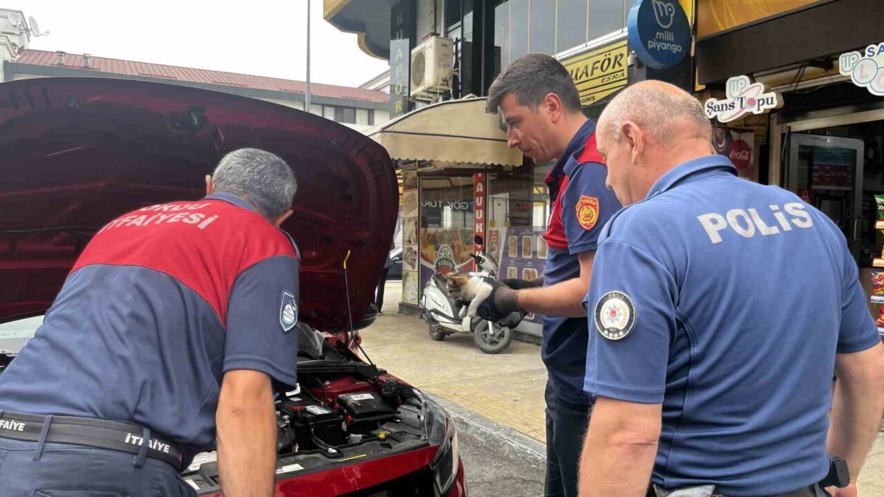 Ordu’nun Ünye ilçesinde, park halindeki otomobilin motor kısmında mahsur kalan