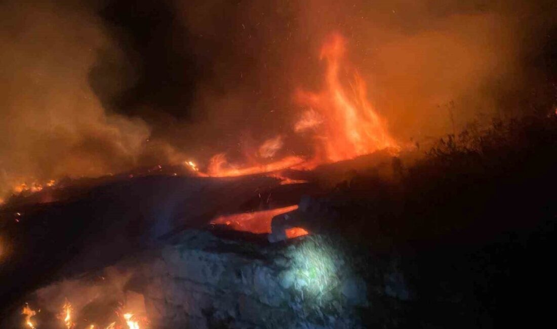 Erzurum’un Pazaryolu ilçesinde meydana gelen yangında 5 ev, 2 ahır