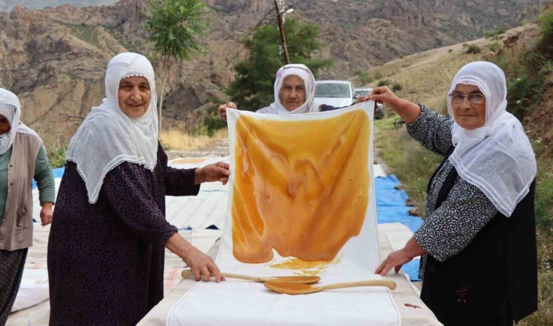 Erzurum’un Olur ilçesi Ormanağzı Mahallesi’nde dut hasadının ardından geleneksel pestil