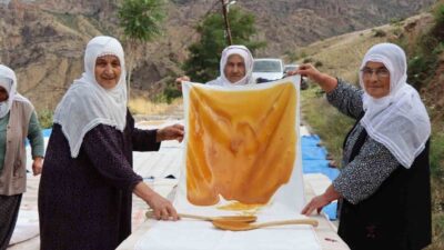 Erzurum’un Olur ilçesi Ormanağzı Mahallesi’nde dut hasadının ardından geleneksel pestil