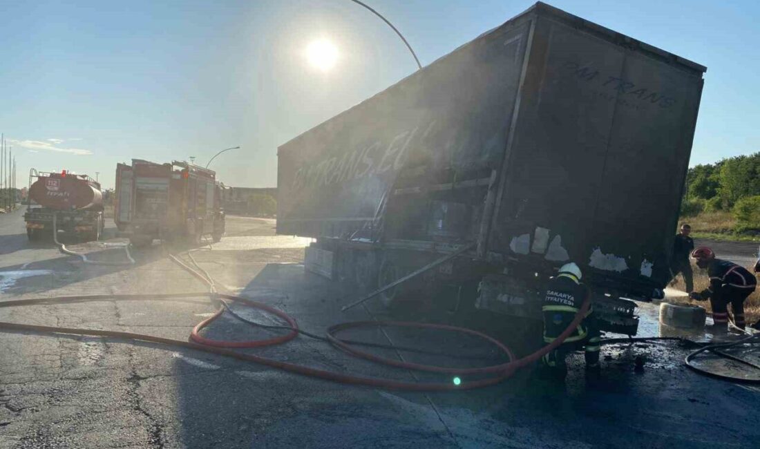 Anadolu Otoyolu’nun Sakarya geçişinde Polonya’ya gittiği öğrenilen tel yüklü tırın