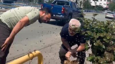 Rize’de oğul bırakan kovanın arıları ilçe merkezindeki çiçek saksısını sarınca