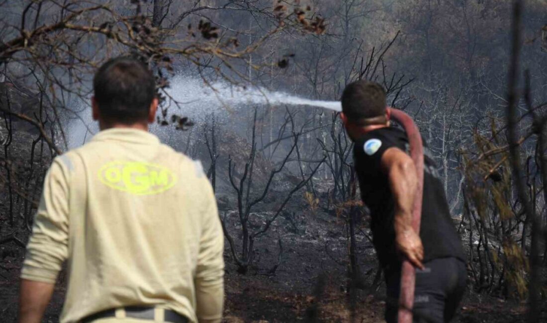 Sakarya-Bilecik sınırında ormanlık alanda yeniden yükselen alevler, ekiplerin hızlı müdahalesiyle