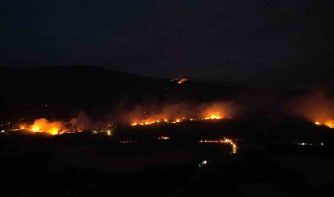 Sakarya-Bilecik sınırında kısmen kontrol altına alınan orman yangınında, akşam saatlerinde