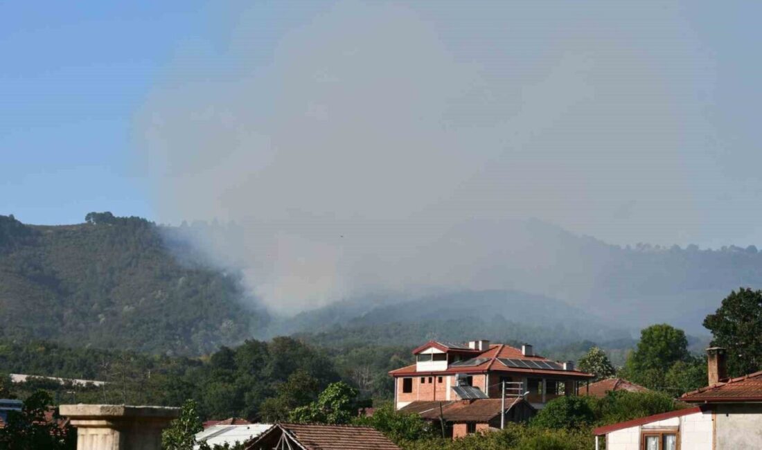 Sakarya’nın Hendek ilçesinde ormanlık alanda çıkan yangın, ekiplerin yoğun çabaları