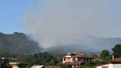 Sakarya’nın Hendek ilçesinde ormanlık alanda çıkan yangın, ekiplerin yoğun çabaları