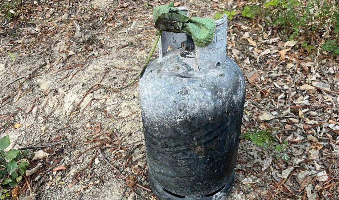 Sakarya’nın Hendek ilçesinde 5 hektarlık orman ile fındıklık alanın zarar