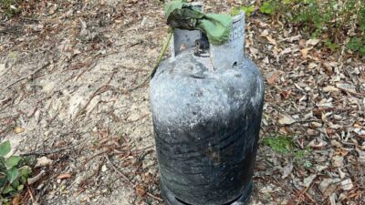 Sakarya’nın Hendek ilçesinde 5 hektarlık orman ile fındıklık alanın zarar