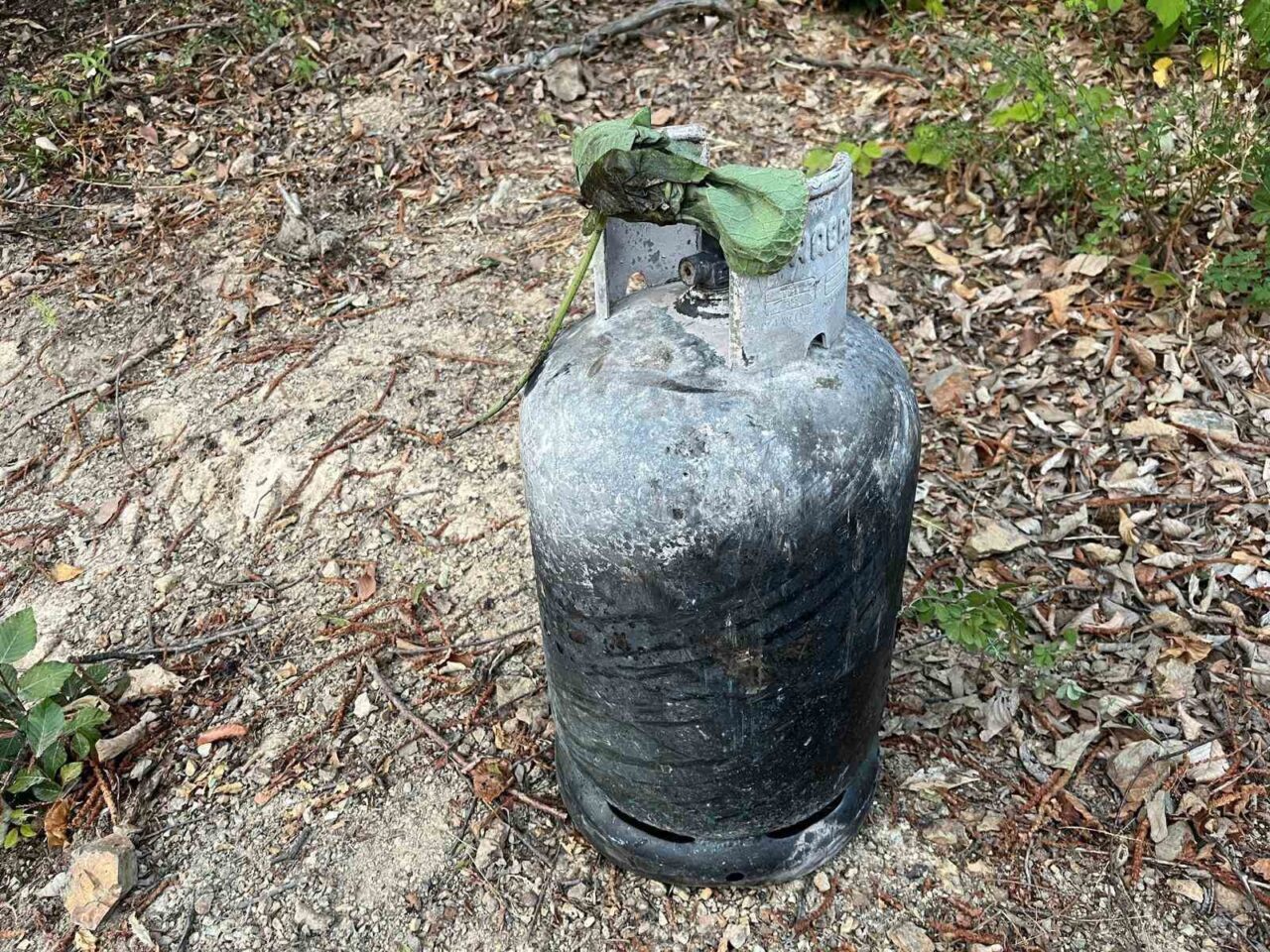 Sakarya’nın Hendek ilçesinde 5 hektarlık orman ile fındıklık alanın zarar