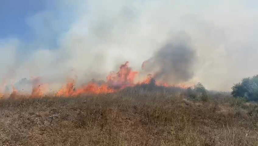 Sakarya’nın Kaynarca ilçesinde makilik alanda yangın çıktı. Rüzgarın etkisiyle yayılan
