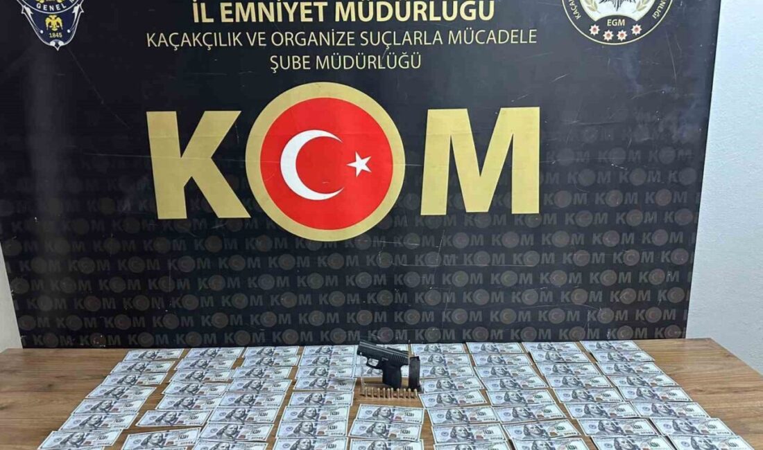 Sakarya’da polis ekiplerince düzenlenen operasyonda, 14 bin 100 sahte dolar