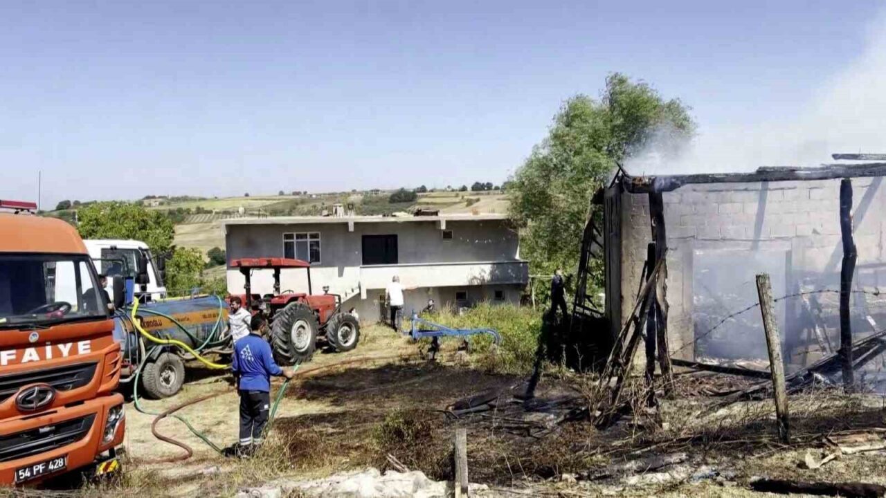 Sakarya’nın Kaynarca ilçesinde saman deposunda başlayıp tarım arazilerine sıçrayan yangın