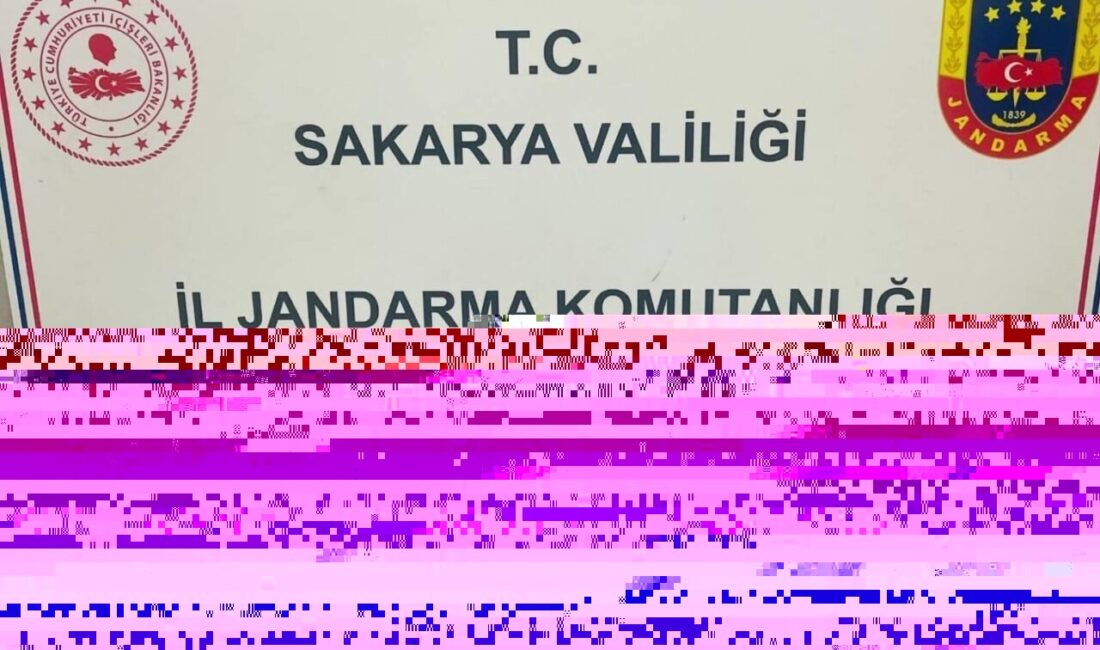 Sakarya’da jandarmanın gerçekleştirdiği uyuşturucu operasyonlarında gözaltına alınan 3 şüpheliden 1’i