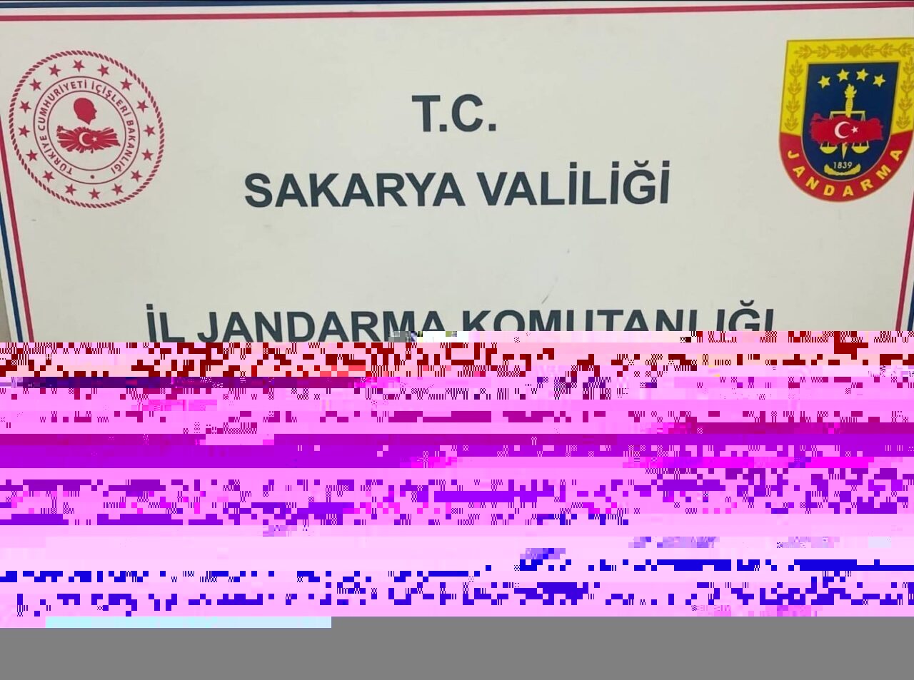 Sakarya’da jandarmanın gerçekleştirdiği uyuşturucu operasyonlarında gözaltına alınan 3 şüpheliden 1’i