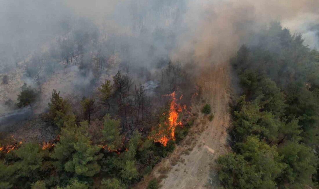 Sakarya’nın Geyve ilçesinde yaklaşık 45 saat önce başlayan orman yangını,