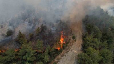 Sakarya’nın Geyve ilçesinde yaklaşık 45 saat önce başlayan orman yangını,