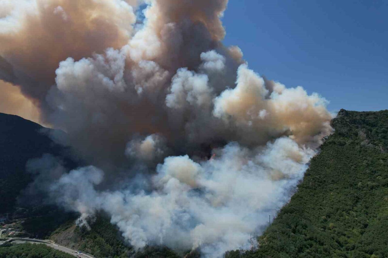 Sakarya’nın Geyve ilçesinde çıkan orman yangınına müdahale devam ederken, yanan