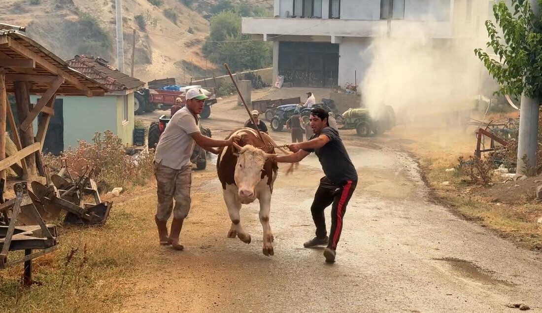 Sakarya’da Geyve ile Pamukova arasında yer alan Çardak Mahallesi yakınlarında