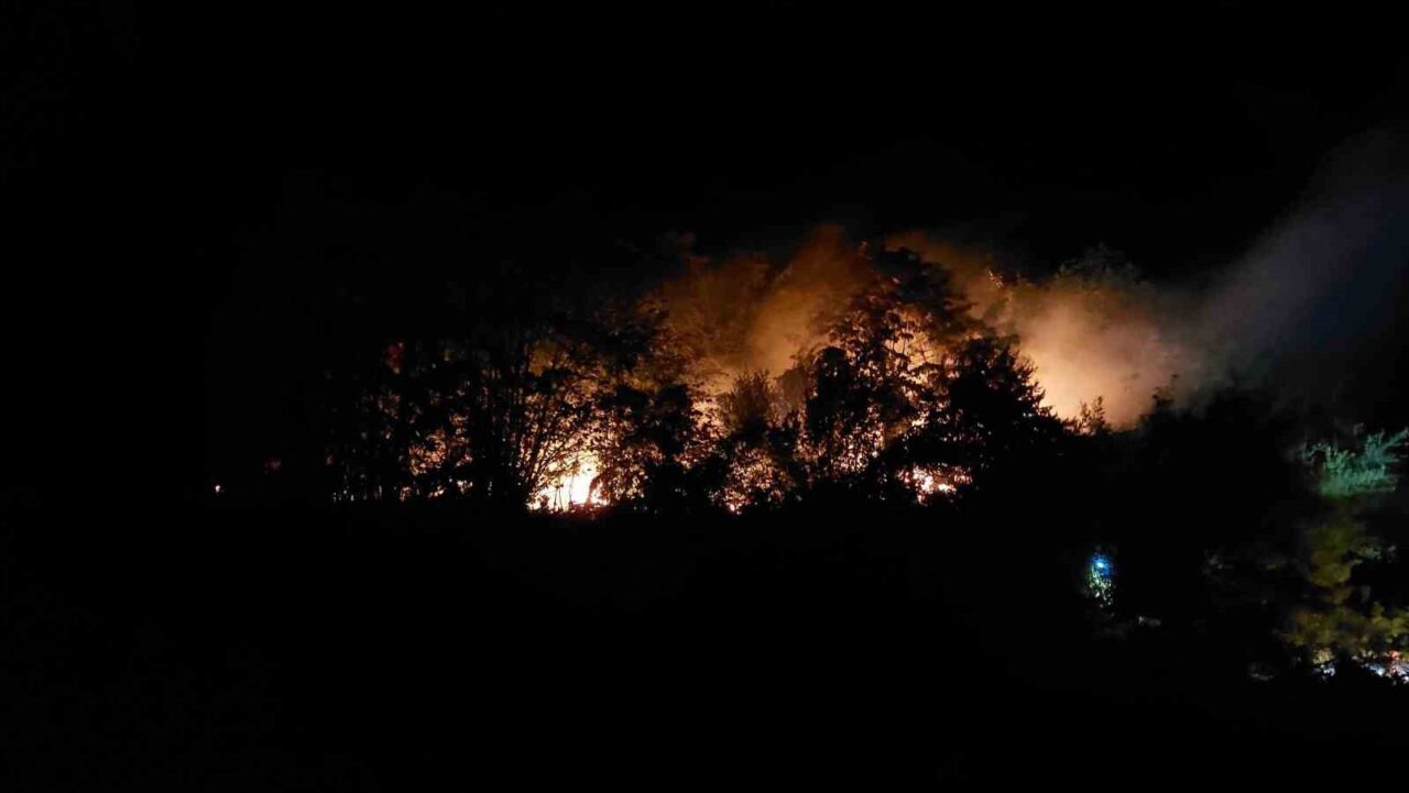 Sakarya’nın Akyazı ilçesinde dün gece ormanlık alanda çıkan yangınla bağlantısı