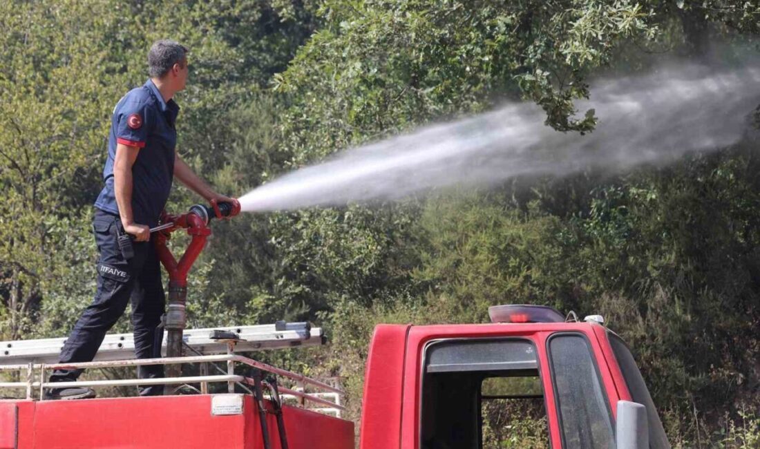 Sakarya’nın Geyve, Söğütlü ve Kaynarca ilçelerinde bugün çıkan 3 ayrı