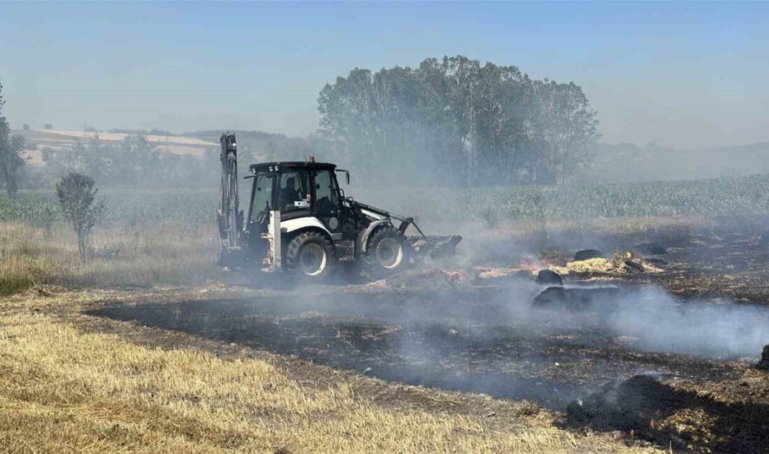 Kastamonu’nun İhsangazi ilçesinde saman balyasından çıkan yangın, tarlanın bitişiğinde bulunan