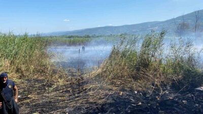 Sapanca Gölü’nün Kocaeli’nin Kartepe ilçesi sınırlarında kalan bölümündeki sazlık alanda