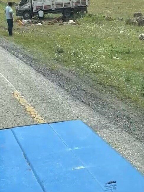 Sarıkamış’ta kamyonet devrildi Sarıkamış’ta kamyonet devrildi. 2 kişi yaralanırken, kamyonette bulunan 17 küçükbaş